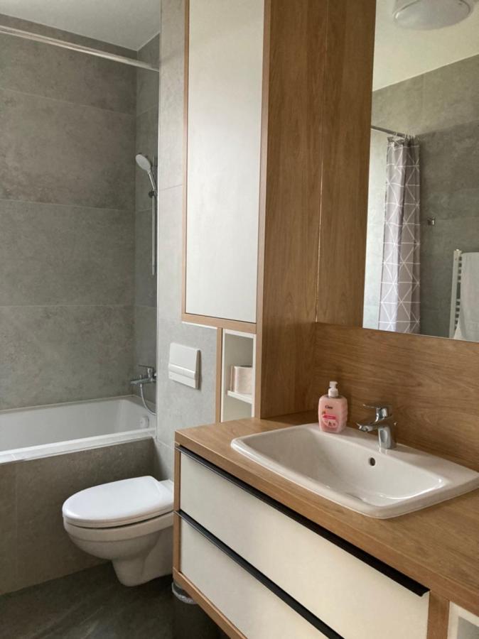 Papillon Apartment #6 Dumbravita  Екстер'єр фото